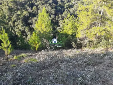 Lote/Terreno à venda, 2000m² no Village Sans Souci, Nova Lima
