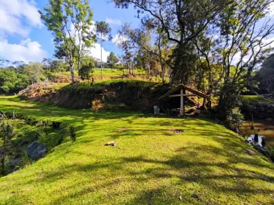 Lote/Terreno à venda, 72000m² no Colônia Antônio Prado, Almirante Tamandaré
