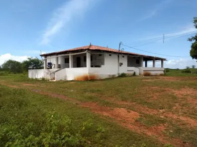 Fazenda/Sítio com 2 Quartos à venda, 980000m² no , São Paulo do Potengi