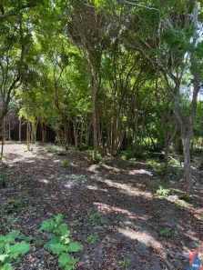 Lote/Terreno à venda, 516m² no , Tibau do Sul