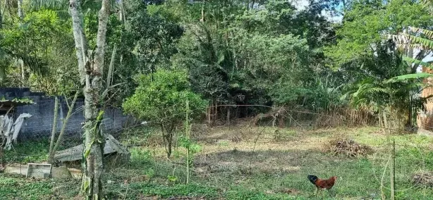 Lote/Terreno à venda, 2000m² no Jardim Shangrilá (Zona Sul), São Paulo