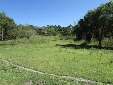 Fazenda/Sítio com 3 Quartos à venda, 165000m² no Agro Brasil, Cachoeiras de Macacu