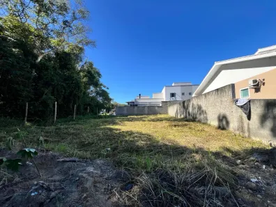 Lote/Terreno à venda, 239m² no Bela Vista, Palhoça