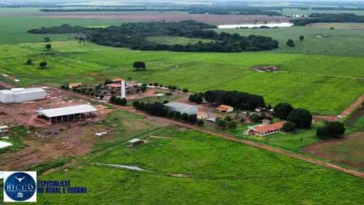Fazenda/Sítio com 6 Quartos à venda, 504m² no Jorge Figueiras, Alvorada