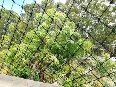 Apartamento com 2 Quartos à venda, 50m² no Colina de Laranjeiras, Serra