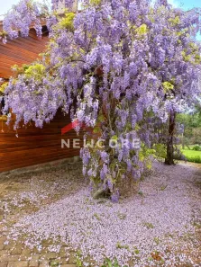 Casa com 3 Quartos à venda, 150m² no Centro, São Francisco de Paula