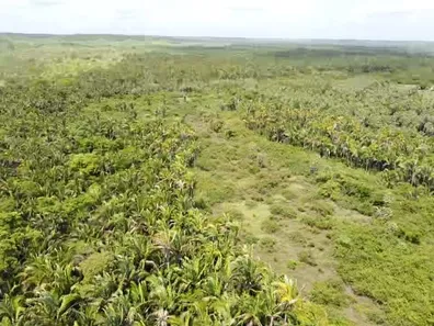 Fazenda/Sítio com 3 Quartos à venda, 9740000m² no Zona Rural, Chapadinha