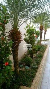 Casa com 3 Quartos à venda, 140m² no Jardim Ouro Branco, Campinas