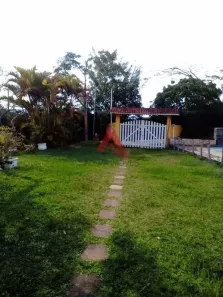 Fazenda/Sítio com 5 Quartos à venda, 2700m² no , Piracaia