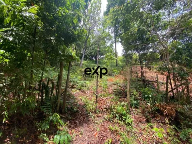 Lote/Terreno à venda, 700m² no Morro de São Paulo, Cairu
