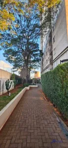 Apartamento com 3 Quartos à venda, 59m² no Centro, Diadema