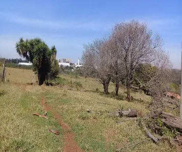 Fazenda/Sítio à venda, 106160m² no Bonfim, Paulínia