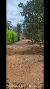 Fazenda/Sítio com 3 Quartos à venda, 2000m² no Setor Central, Nova Veneza