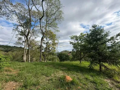 Lote/Terreno à venda, 20000m² no , Santo Antônio do Pinhal