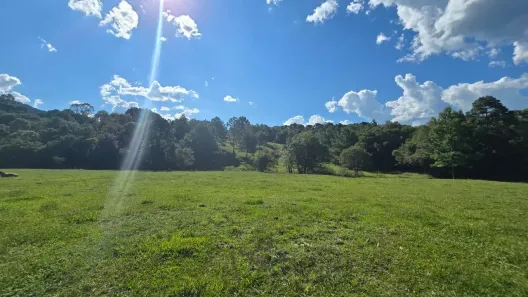 Fazenda/Sítio à venda, 320000m² no , Bocaina do Sul