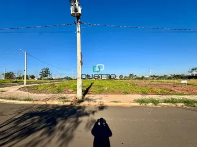 Lote/Terreno com 1 Quarto à venda, 250m² no Cidade Nova II, Santa Bárbara D'Oeste