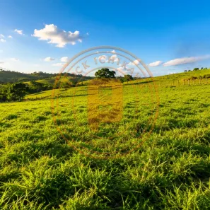 Fazenda/Sítio à venda, 251075m² no Centro, Nossa Senhora das Dores