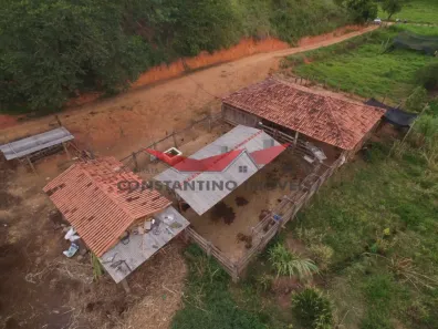 Lote/Terreno à venda, 298000m² no , Peçanha