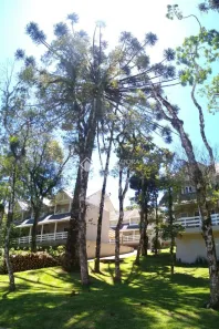 Casa com 2 Quartos à venda, 120m² no Mato Queimado, Gramado