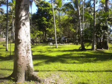 Lote/Terreno à venda, 3200m² no Centro, Santa Cruz Cabrália