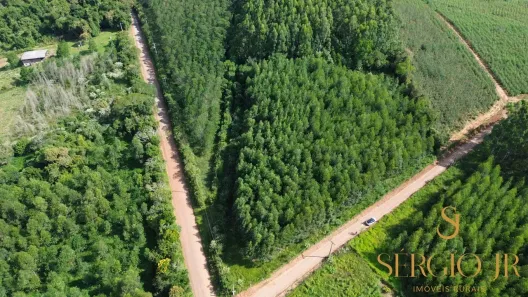 Fazenda/Sítio à venda, 9169m² no , Triunfo