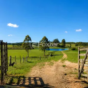 Fazenda/Sítio com 4 Quartos à venda, 985162m² no Águas Claras, Viamão