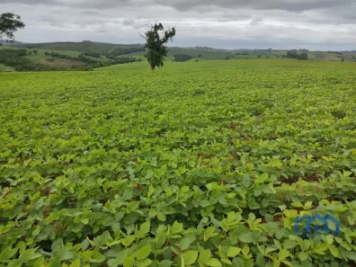 Fazenda/Sítio com 1 Quarto à venda, 484000m² no Área Rural de Sorocaba, Sorocaba