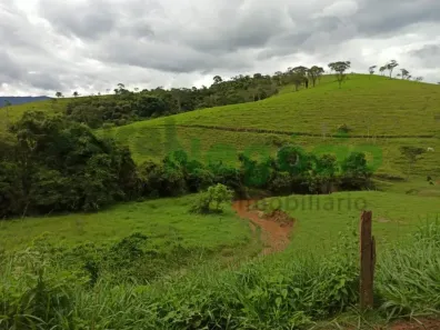 Fazenda/Sítio com 3 Quartos à venda, 363000m² no Centro, Lorena