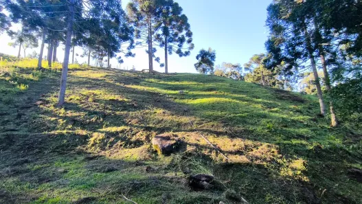 Fazenda/Sítio com 5 Quartos à venda, 29271m² no Área Rural, Rio Branco do Sul