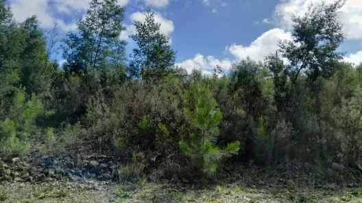 Lote/Terreno à venda, 450m² no Dutra, Gramado