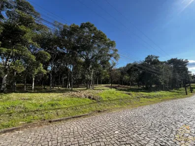 Lote/Terreno à venda, 431m² no Nova Petrópolis, Nova Petrópolis