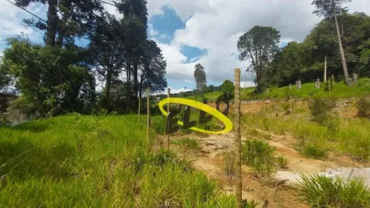 Lote/Terreno à venda, 3394m² no Água Espraiada (Caucaia do Alto), Cotia