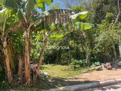 Lote/Terreno à venda, 658m² no Campeche, Florianópolis