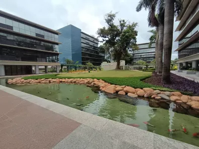 Imóvel Comercial com 1 Quarto para alugar, 45m² no Georgina Business Park, São José do Rio Preto