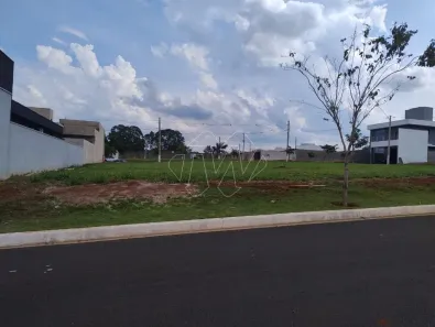 Lote/Terreno à venda, 250m² no Residencial Samambaia, São Carlos