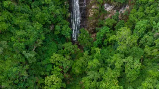 Lote/Terreno à venda, 10000m² no , Gramado