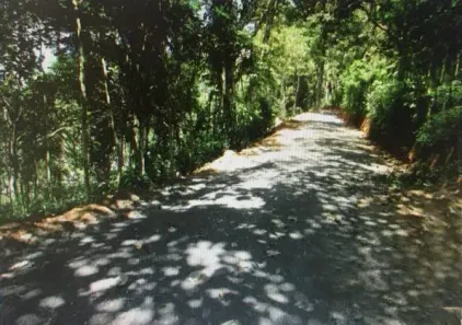 Lote/Terreno à venda, 1300m² no , Santo Antônio do Pinhal