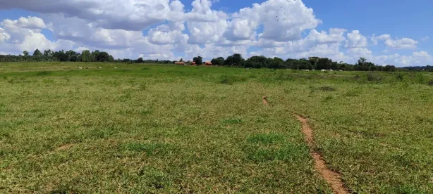 Fazenda/Sítio à venda, 10m² no Área Rural de Morrinhos, Morrinhos