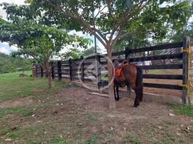 Fazenda/Sítio com 3 Quartos à venda, 24m² no , Marzagão