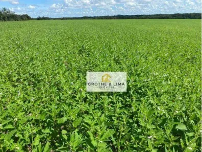 Fazenda/Sítio à venda, 1000m² no Parque Vale Araguaia, Araguaína