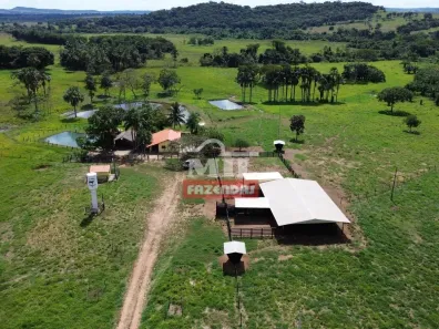 Fazenda/Sítio à venda, 500m² no Setor Central, Mairipotaba