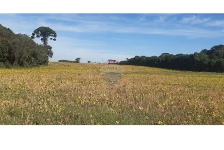 Lote/Terreno à venda, 53240m² no , São José dos Pinhais