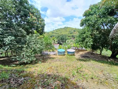 Fazenda/Sítio com 4 Quartos à venda, 459m² no Santo Agostinho, Cabo de Santo Agostinho