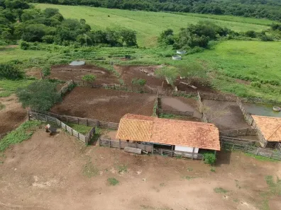 Fazenda/Sítio à venda, 1m² no , São João do Pacuí