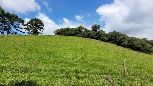 Lote/Terreno à venda, 37000m² no , Paraisópolis