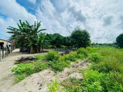 Lote/Terreno à venda, 3000m² no Pindoretama, Pindoretama