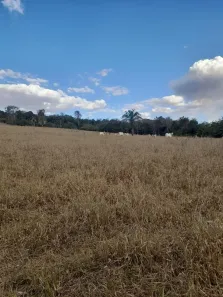 Fazenda/Sítio com 2 Quartos à venda, 6m² no , Anicuns