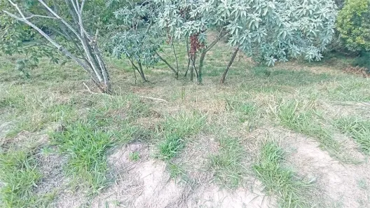 Lote/Terreno à venda, 1650m² no Observatório, Vinhedo