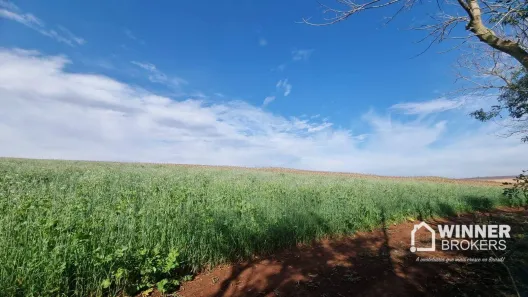 Fazenda/Sítio à venda, 72600m² no , Ourizona