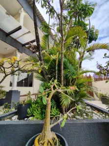 Ponto Comercial para alugar, 25m² no Vilas do Atlântico, Lauro de Freitas